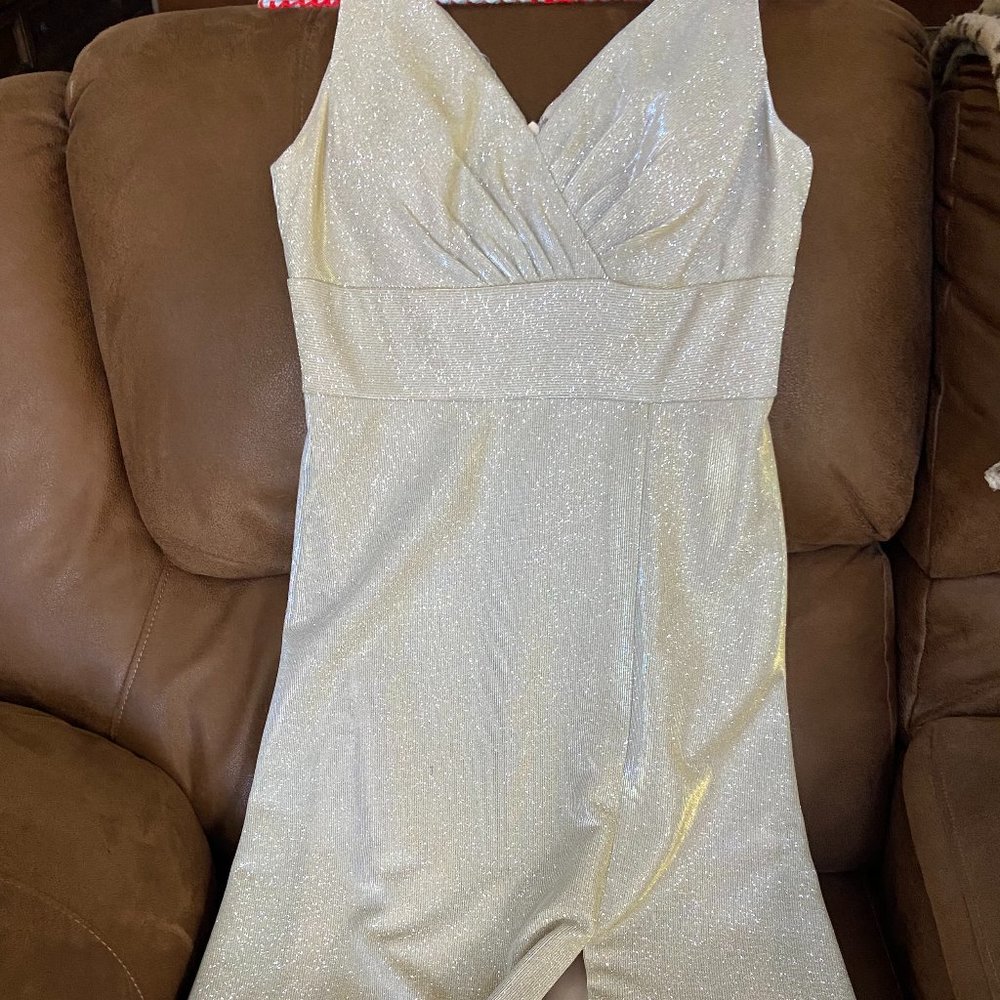Elegant Metallic Dress